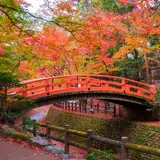 【秋の京都】紅葉巡り！金閣寺・上賀茂神社・龍安寺のおすすめスポットをご紹介