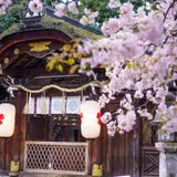 【京都女子旅】かわいい着物で！金閣寺・上賀茂神社・龍安寺のおすすめスポットをご紹介！