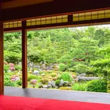 【雨の京都】濡れずに安心！金閣寺・上賀茂神社・龍安寺のおすすめスポットをご紹介