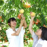 岡山県産フルーツを楽しむ夏！果物観光キャンペーン「おかやま果物時間」がスタート