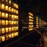 【中止】街中のちょうちんに灯りがともる「第27回小田原ちょうちん夏まつり」が開催