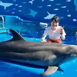 昼も夜も楽しめる「ドルフィンスプラッシュ！&Mystic Blue Aquarium」が仙台うみの杜水族館で開催