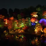 季節限定の夜間開園！「秋の庭園ライトアップ」豊島区立目白庭園で幻想的な庭を楽しもう