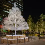 クリスタルガラスのツリーが登場！紀尾井町のイルミネーション「KIOI WINTER ～輝きの集い2018～」