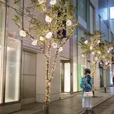 「新宿テラスシティ イルミネーション’18-’19」開催！花をテーマにした幻想的な光につつまれよう