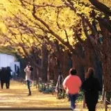 東京メトロウォーキングイベント「東京まちさんぽ」開催！季節を感じながら歩いて身も心もリフレッシュ