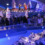 すみだ水族館にて「ペンギンと過ごすクリスマス」開催！生演奏やトークライブなどを楽しめる限定プログラムも