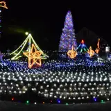 横須賀市くりはま花の国のクリスマス「ウィンターイルミネーション」開催