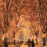 仙台の“冬の風物詩”「2018 SENDAI 光のページェント」開催 