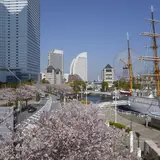 横浜が花と緑であふれる！【ガーデンネックレス横浜2018】開催