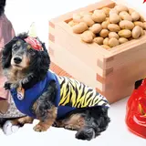 大阪発の新風習！愛犬家のための節分祭「節分ドッグ2019」開催