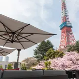 「桜まつり 2019」が開催！東京タワーとともにお花見を楽しめる