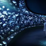 サンシャイン水族館に新たな展示エリア「海月空感」が2020年4月オープン！圧倒的な没入感を体験できる