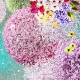 五感で楽しむ花の体感型アート展「FLOWERS BY NAKED 2020 ー桜ー」開催