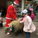 クリスマスアニマルパレード開催！サンタの衣装を着た飼育係と一緒に歩くヒツジやモルモットなどに癒やされる