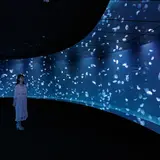天空のオアシス・サンシャイン水族館に誕生！国内最大級のパノラマ水槽「海月空感」