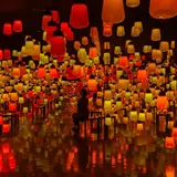 佐賀・武雄温泉で開催中のアート展「チームラボ かみさまがすまう森」に秋の作品が登場