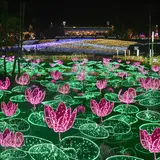 沖縄県最大280万球！植物園ならではのイルミネーション「ひかりの散歩道2020-21」開催！