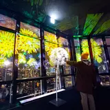 テーマはタンポポ！夜景に溶け込むプロジェクションマッピング「東京タワー」にて展示