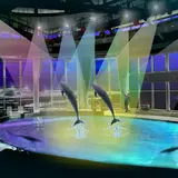 クラゲ大水槽にサメのミュージアム！「アクアワールド茨城県大洗水族館」12月にリニューアルオープン