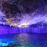 星・雪・水など大自然の美しさを再認識できるイベント「軽井沢 白糸の滝 真冬のライトアップ」開催！