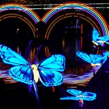 【インスタ映え】テーマは蝶！幻想的でカラフルなカナルアートフェスティバル「ハウステンボス」で開催
