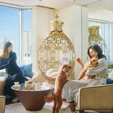 愛犬と宿泊できるプラン「ホテル インターコンチネンタル 東京ベイ」に登場！ケージなど充実のアメニティー