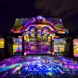夜桜×アートの体感型展示を世界遺産・二条城で開催！専用ゴーグルでヴァーチャルお花見も