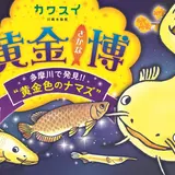 “たまずん”や世界中の美しい黄金色のさかなたちに会える！「川崎水族館」初の特別企画展示を開催