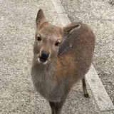 みぞゆい