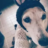 ゆみ