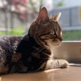 けいすけ