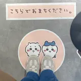 さーちゃんだよ