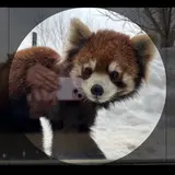 かんまる