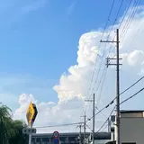 ひな