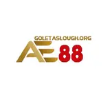  AE88