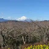 としつん