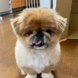 ゆみ