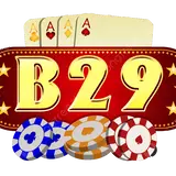 B29