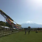 Taichi