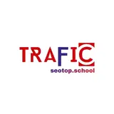 dvtrafficseotop