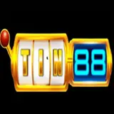 Tin88