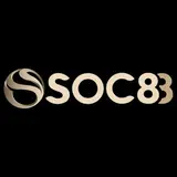 soc88ferragamosbelts