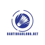  bantincaulongnet