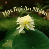 nguyencongminhtri532