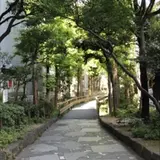 新宿遊歩道公園 四季の路