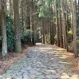 腰巻地区箱根旧街道遺跡の石畳