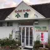 小白