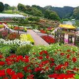 島田市ばらの丘公園
