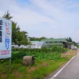 松本農園